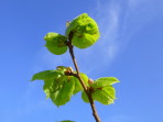 P1020840