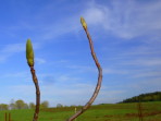 P1020878