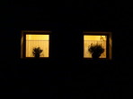 DSC00071