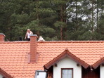 Dach pod lasem musi być chroniony