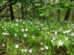 DSC01170