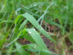 DSC01181