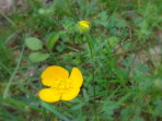 DSC01184